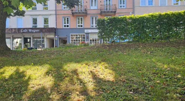 foto2