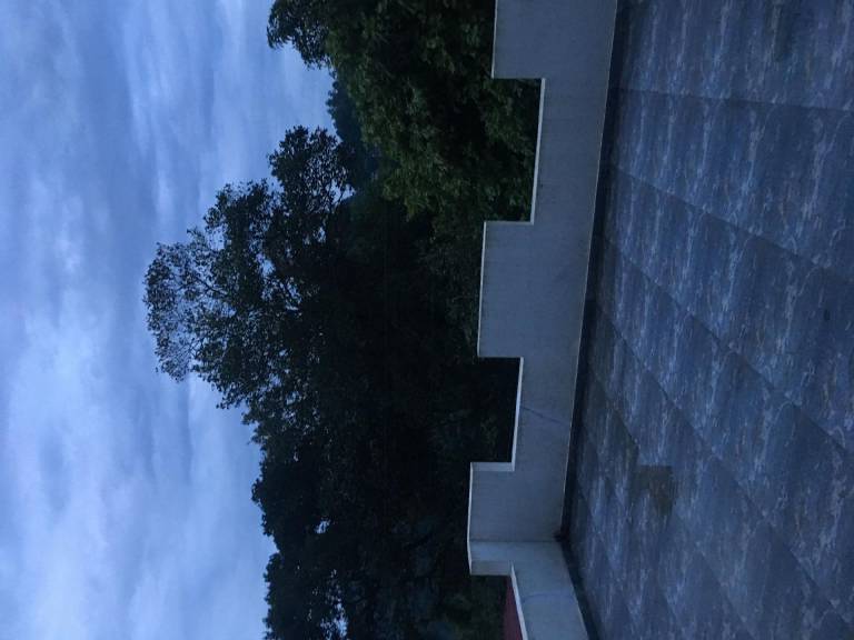foto31