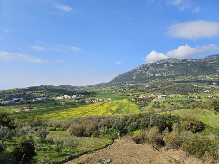 foto8
