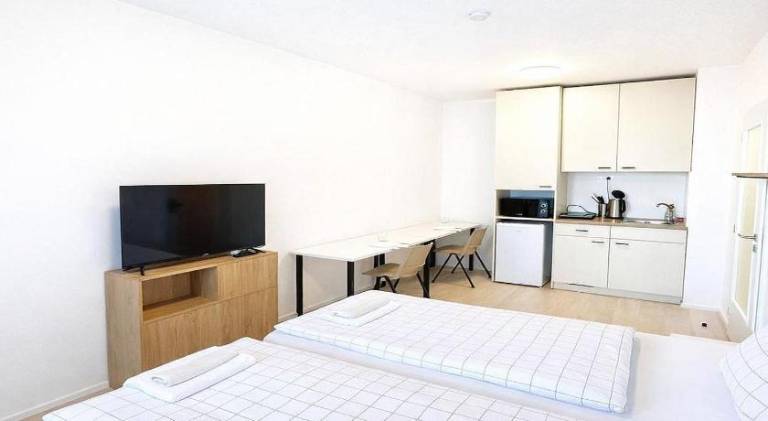 Wonderful rental apartment | Close to Villa Tugendhat | Good for workation | Pet-friendly — photo 4