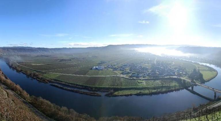 Weingut Lindenhof — photo 4