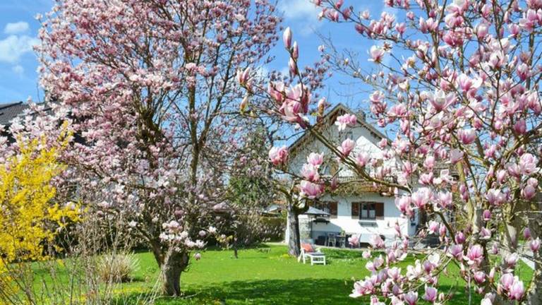 Ferienhaus Chiemsee