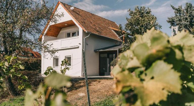 Rental apartment with patio & yard | Pets allowed in Veszprem