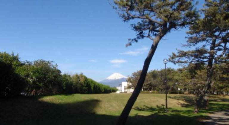 foto8