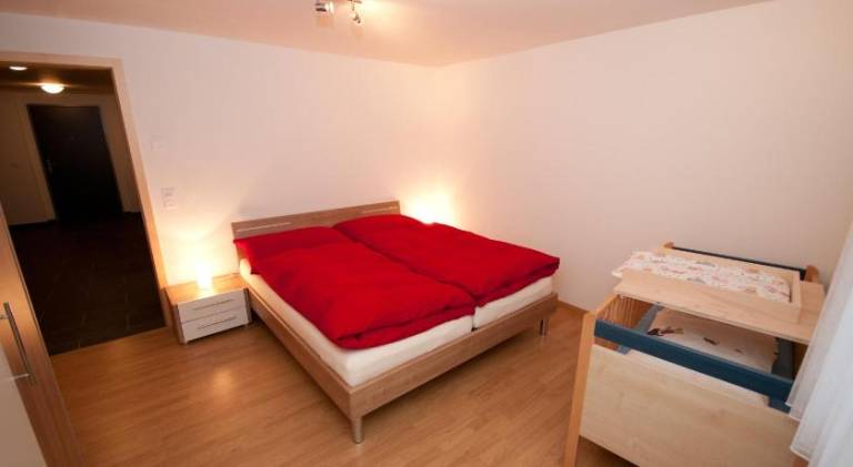 Nice holiday apartment | Next to the ski | Pet-friendly in Meiringen
