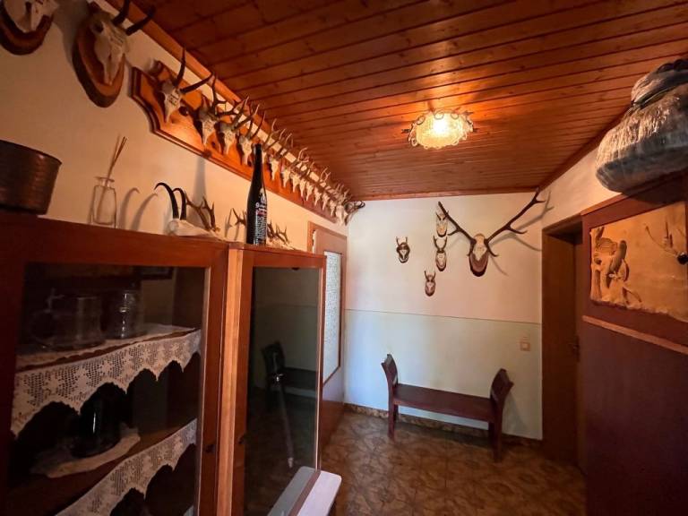 foto16