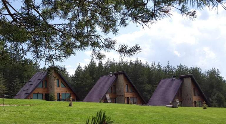 Forest Houses & 208;& 164;& 208;& 190;& 209;&euro;& 208;& 181;& 209;& 129;& 209;& 130; & 208;& 165;& 208;& 176;& 209;& 131;& 209;& 129;& 208;& 184;& 209;& 129;