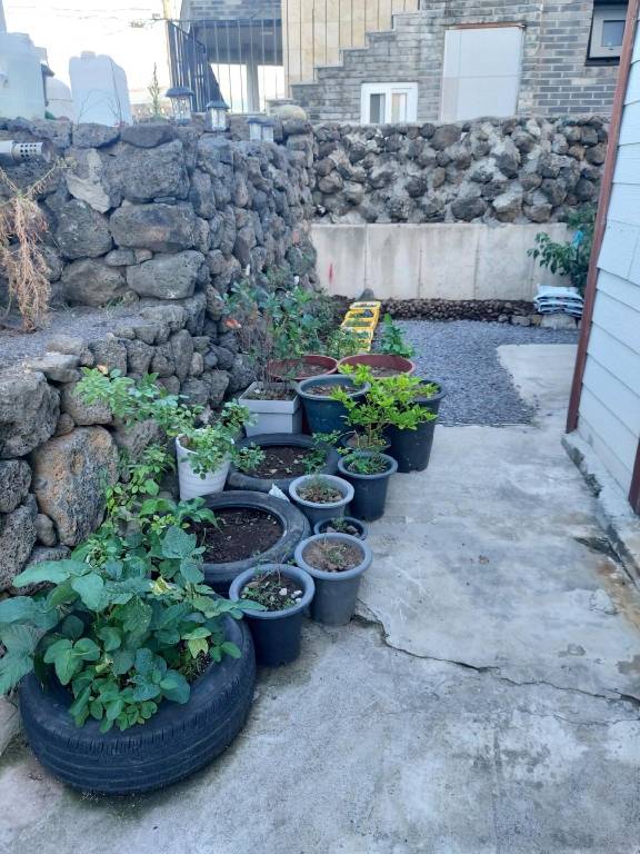 foto9