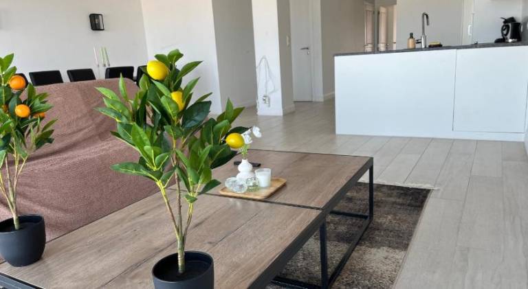Holiday apartment | Beach nearby | Pet-friendly — photo 5