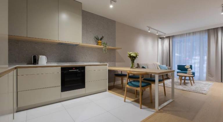 Apartment with terrace — photo 5