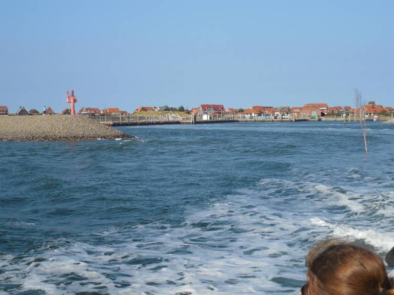 foto6