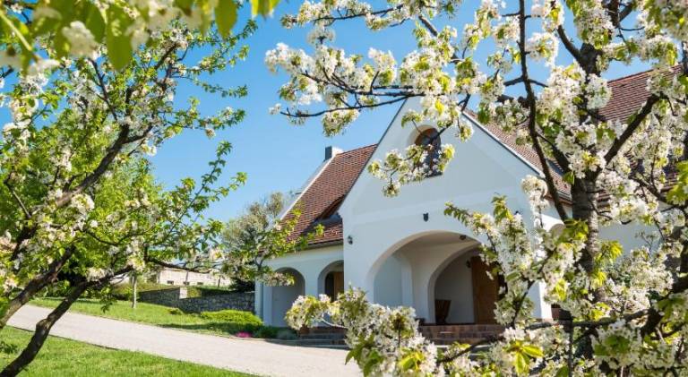 Szállás reggelivel Balatonszőlős