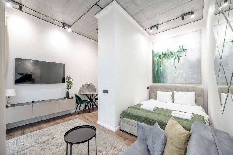 Studio flat Senamiestis