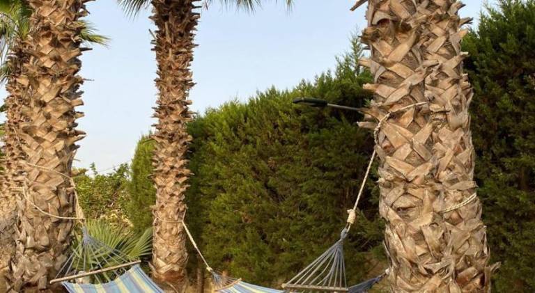 Charming villa | Pet-friendly — photo 5