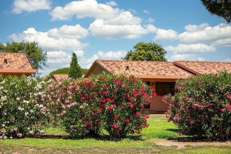 Appartamento Montalto di Castro
