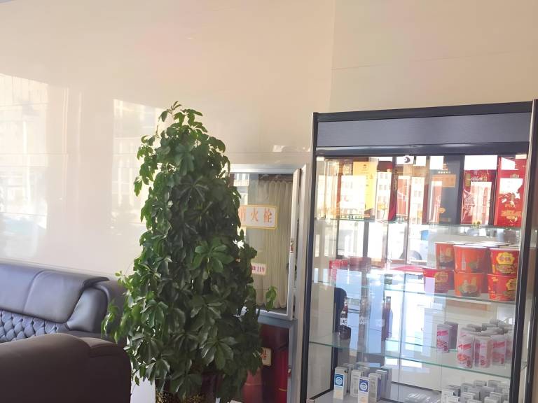 foto11