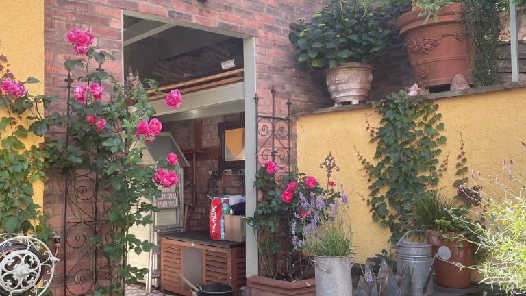 foto6