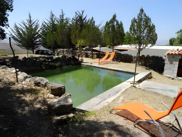 Farm with garden & patio — photo 4