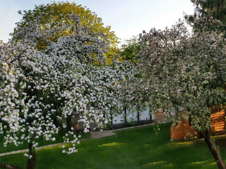 foto20