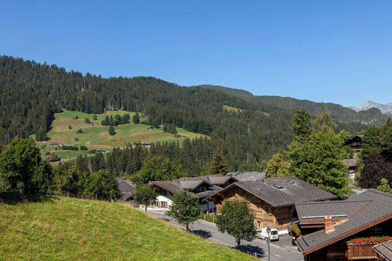 Ferienwohnung Gstaad