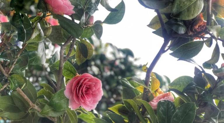 foto44