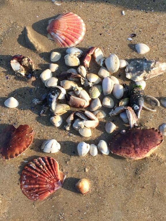 Cottage Courseulles-sur-Mer
