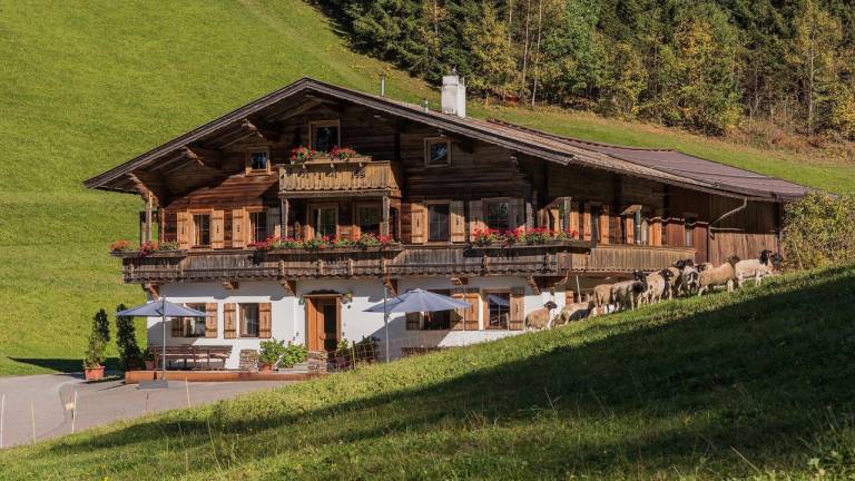 Ferienwohnung  Scheffau am Wilden Kaiser