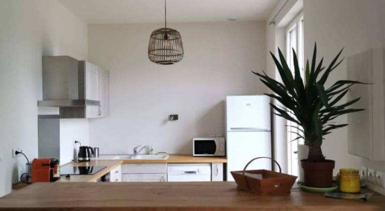 House | Dogs allowed — photo 3