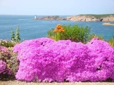 Appartement Le Conquet
