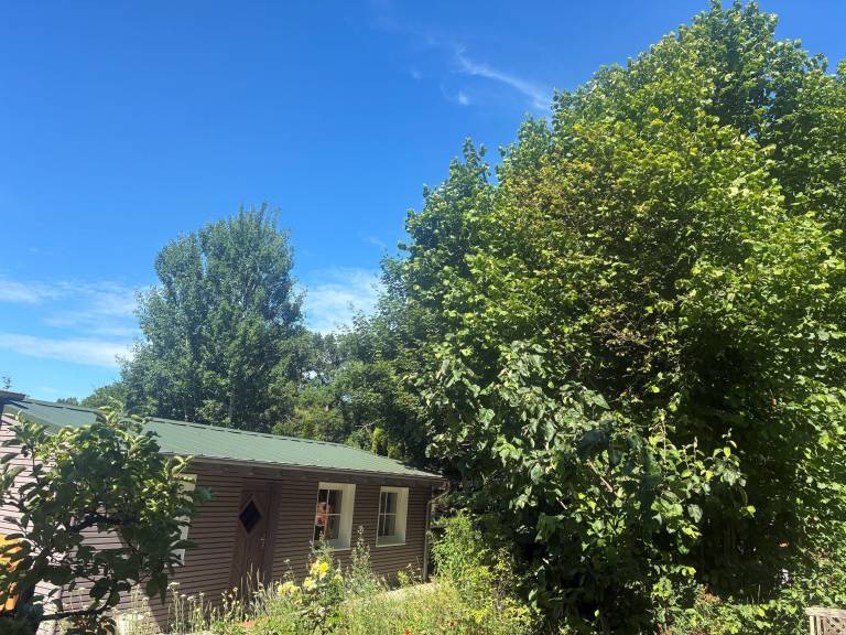 Ferienhaus Buckow (Märkische Schweiz)