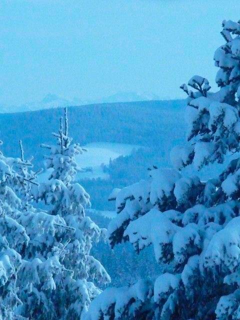 foto10