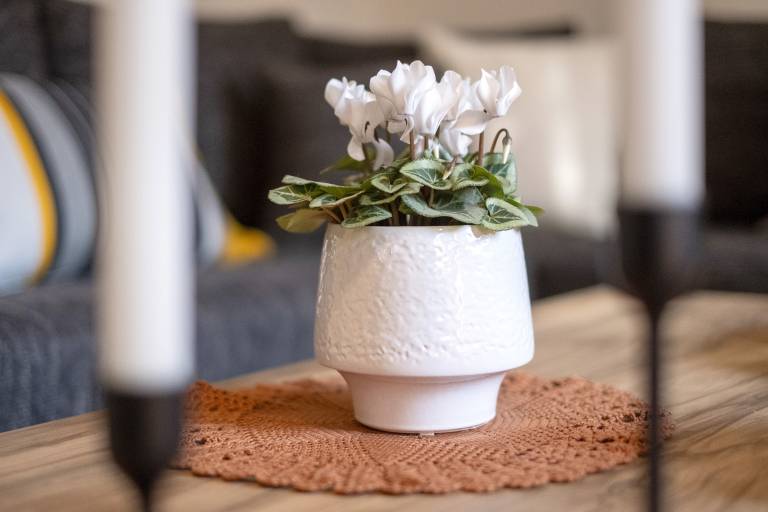 Ferienwohnung in Merzhausen, Baden-Württemberg, Deutschland