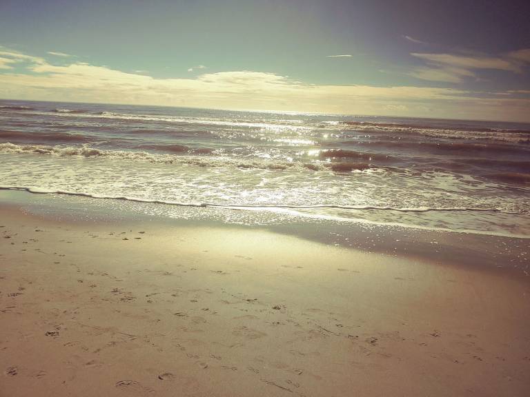 Cabin  Yaupon Beach