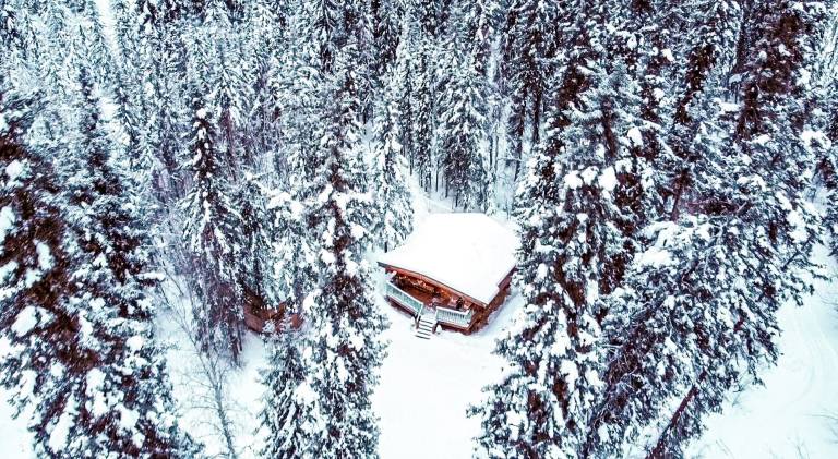 Cabin Fairbanks