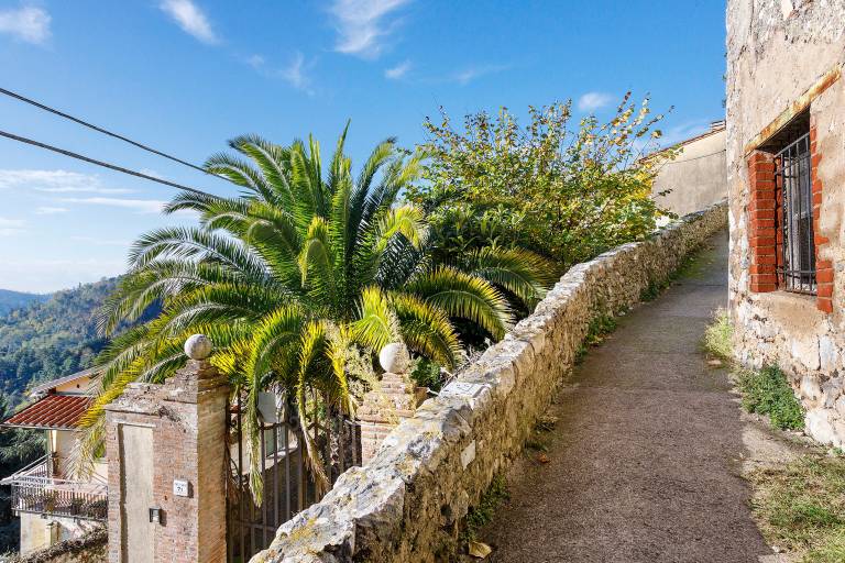 Beautiful apartment with patio | Garden view | Dogs allowed in Camaiore