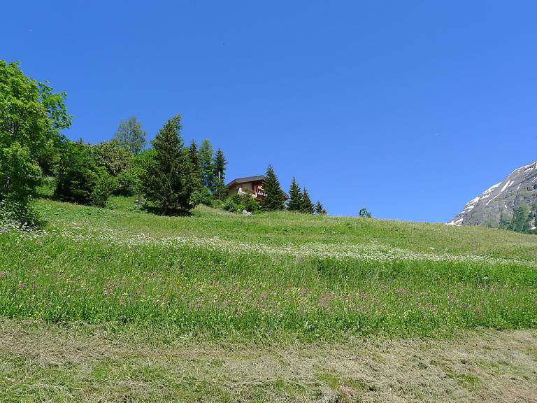 foto11