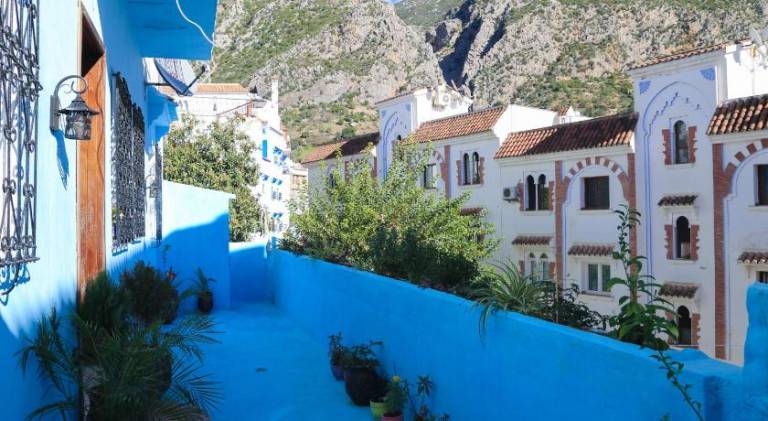 CASA BLUE PEARL — photo 2