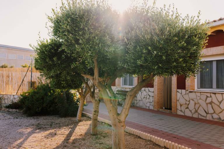 Country House 'Casa Cayo' with Mountain View, Wi-Fi and Air Conditioning in Murcia