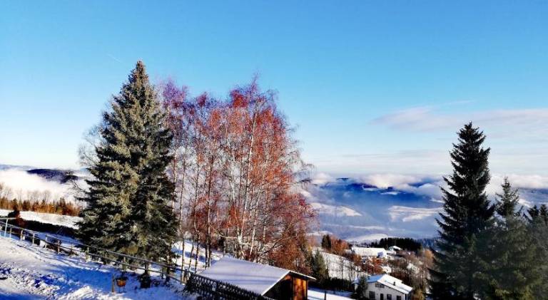 WeiXL Schi&Bike Appartements Bike in&Bike out neben Wexl Trails Bikepark