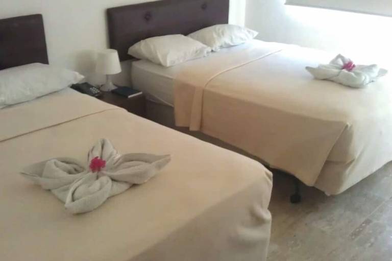 foto2