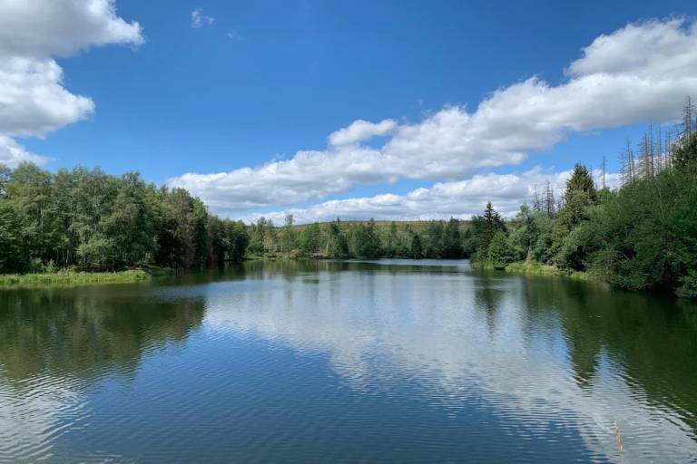 foto40