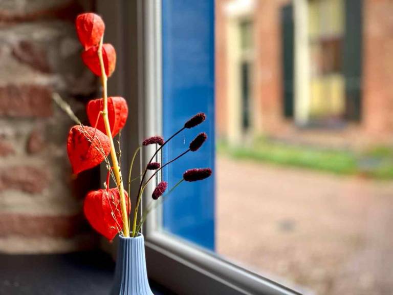 foto24
