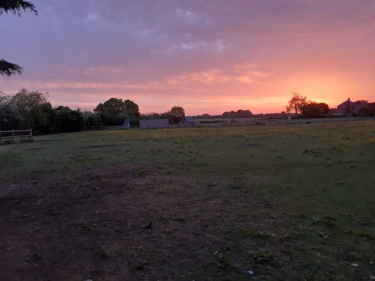 foto5