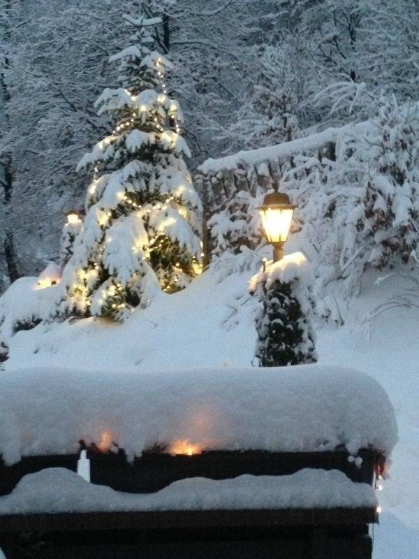 foto17