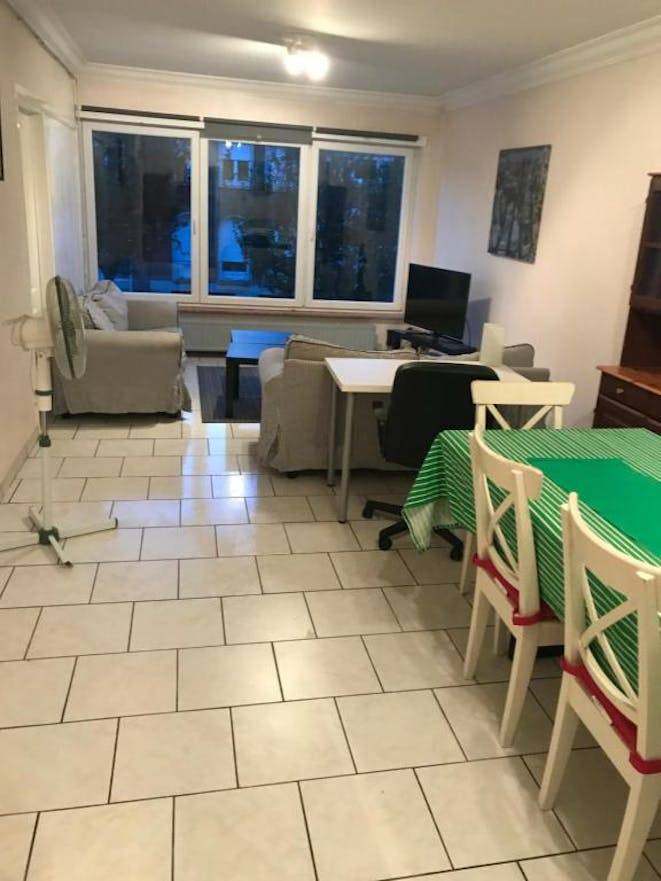 Holiday apartment | Pet-friendly — photo 4