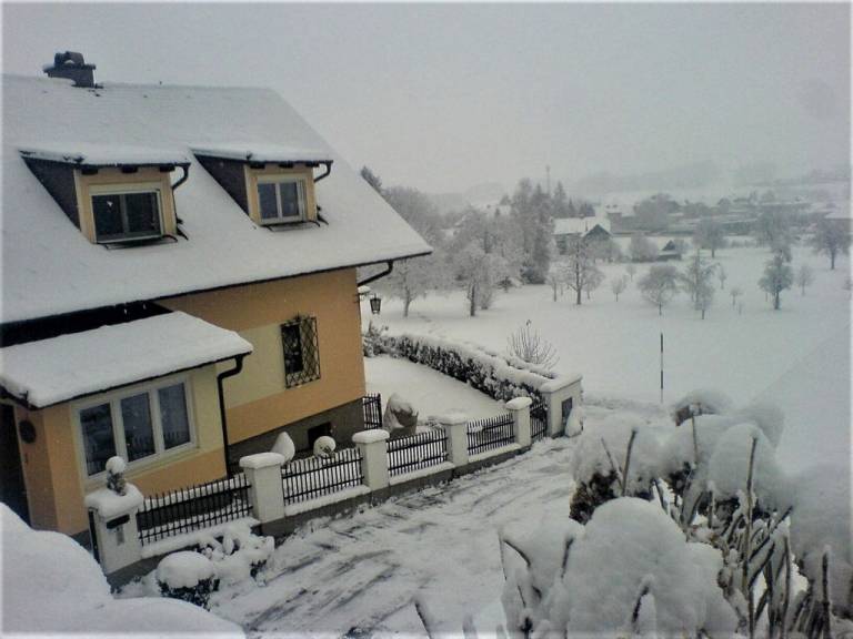 foto40