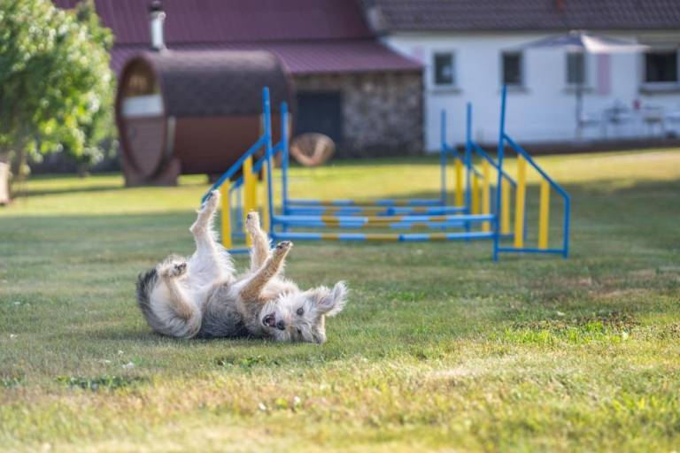 Ferienhaus  Weikersheim