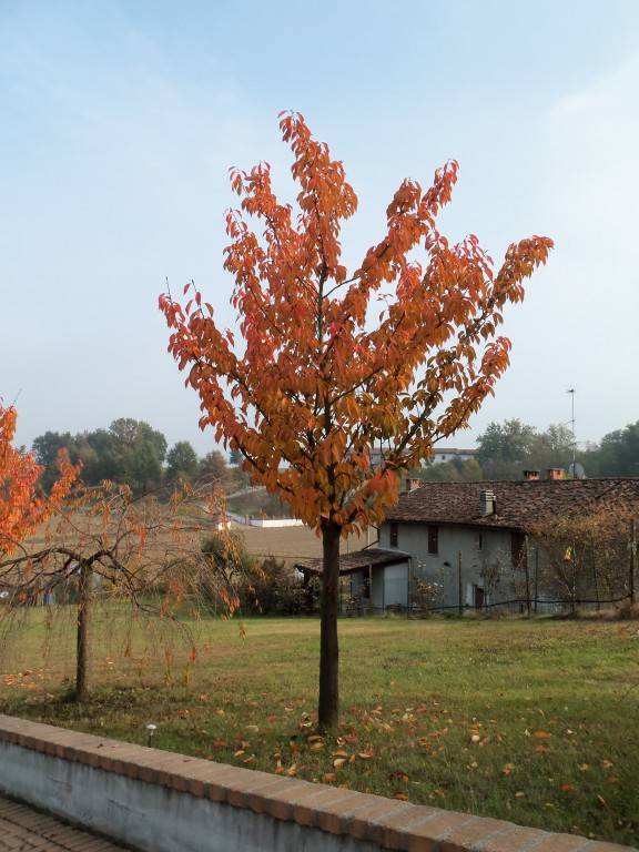 foto13