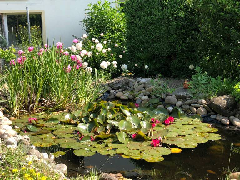 foto11
