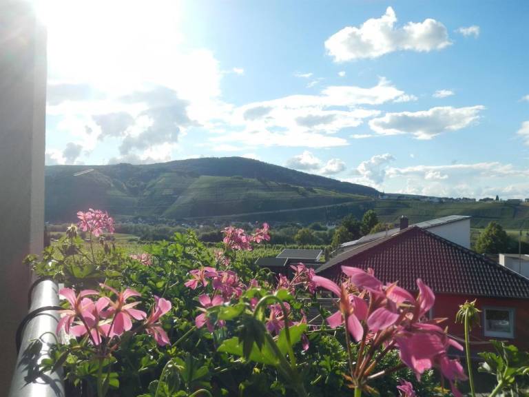 Ferienwohnung Brauneberg